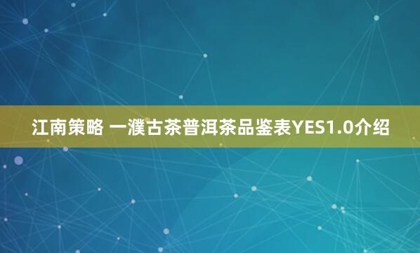 江南策略 一濮古茶普洱茶品鉴表YES1.0介绍