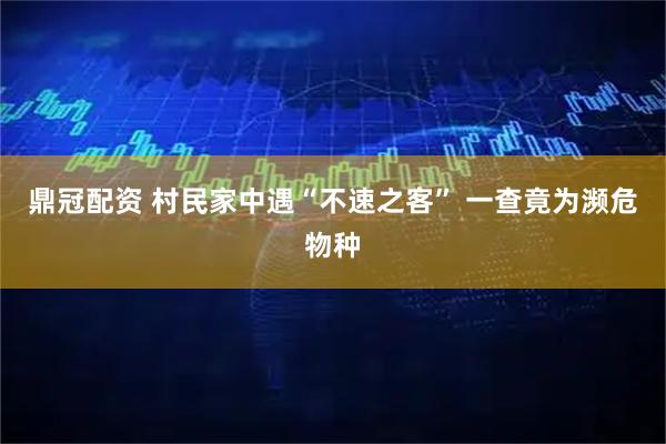 鼎冠配资 村民家中遇“不速之客” 一查竟为濒危物种