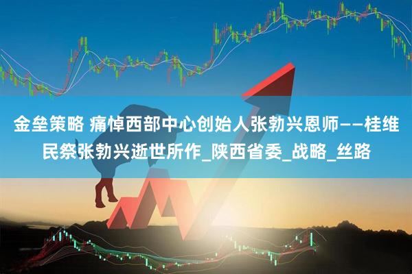 金垒策略 痛悼西部中心创始人张勃兴恩师——桂维民祭张勃兴逝世所作_陕西省委_战略_丝路