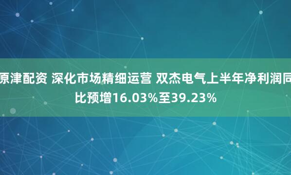 原津配资 深化市场精细运营 双杰电气上半年净利润同比预增16.03%至39.23%