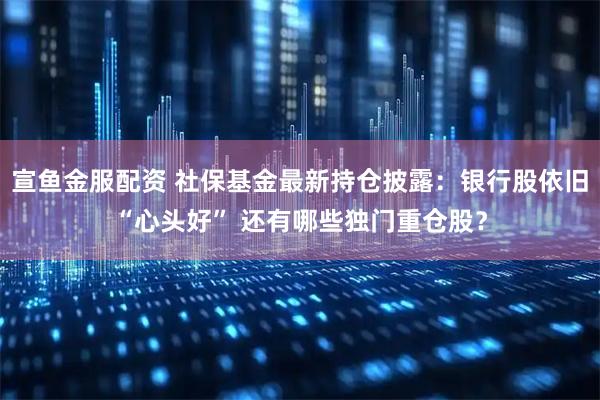 宣鱼金服配资 社保基金最新持仓披露：银行股依旧“心头好” 还有哪些独门重仓股？